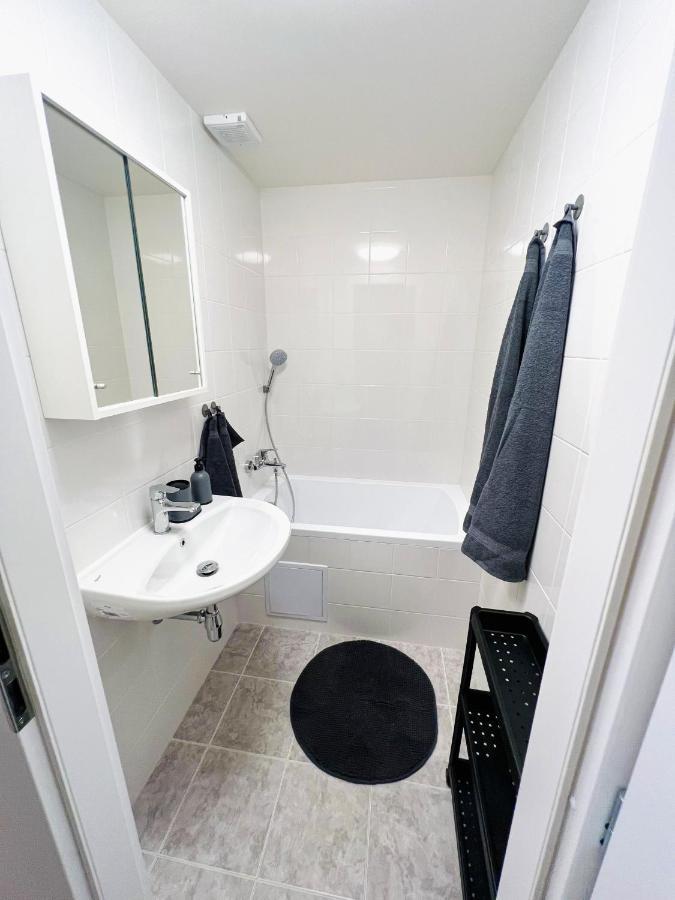 Apartman Zlata Hvezda Ceske Budejovice Dış mekan fotoğraf